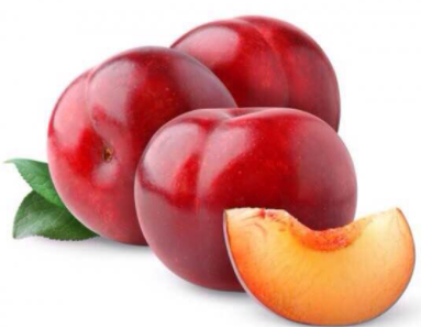 Imagem Produtozzz