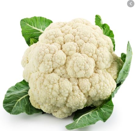 Imagem Produtozzz